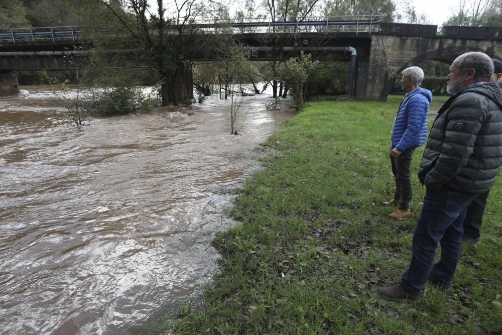 El río Nalón desbordado a su paso por Pravia y Quinzanas