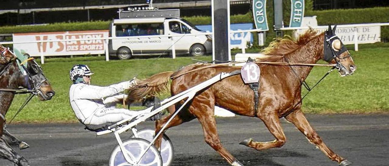 La victoria en meta de Toni Ripoll con Dimo d´Occagnes el lunes en Le Croisé-Laroche.