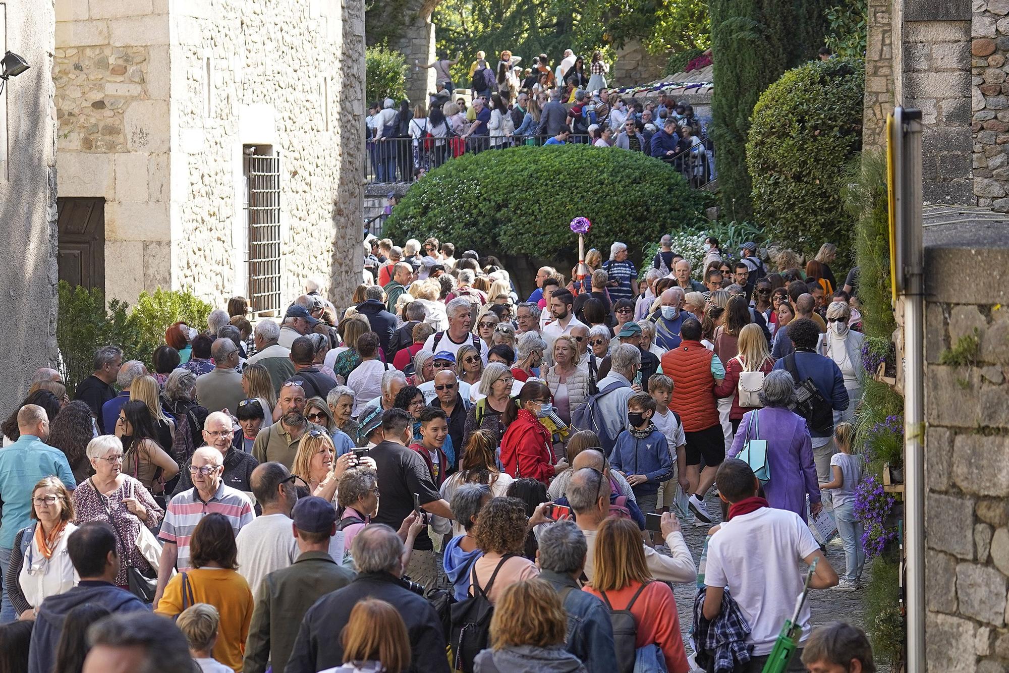 Temps de Flors 2022: les millors imatges d'aquest diumenge