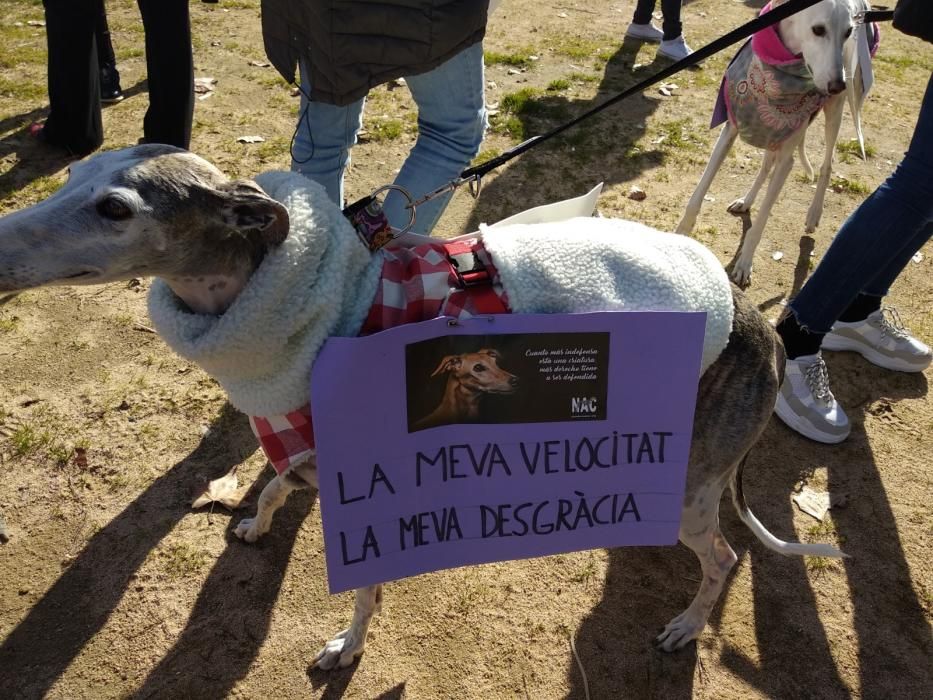 Manifestació contra la caça a Girona