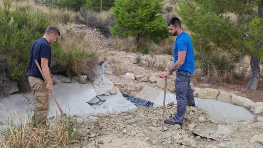 Mejoras en la pinada del Trinitario de Elda