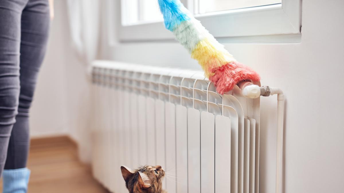CALEFACCIÓN ] ¿Para limpiar el radiador de calefacción?
