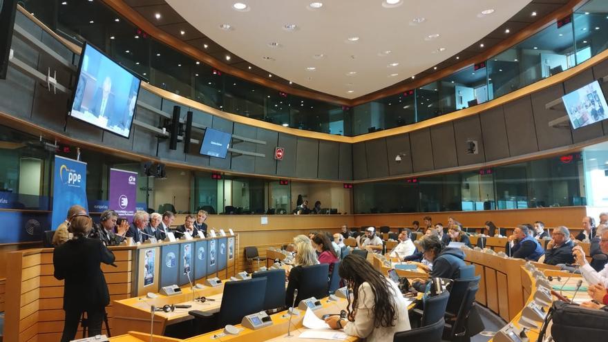 La preocupació pels impactes del macro parc eòlic marí del Golf de Roses arriba al Parlament Europeu