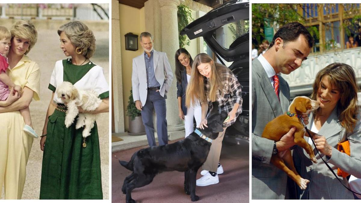 ¡Nuevo perro ‘royal’! Jan, el labrador que se ha colado en la despedida de la infanta Sofía, y otras mascotas de los reyes