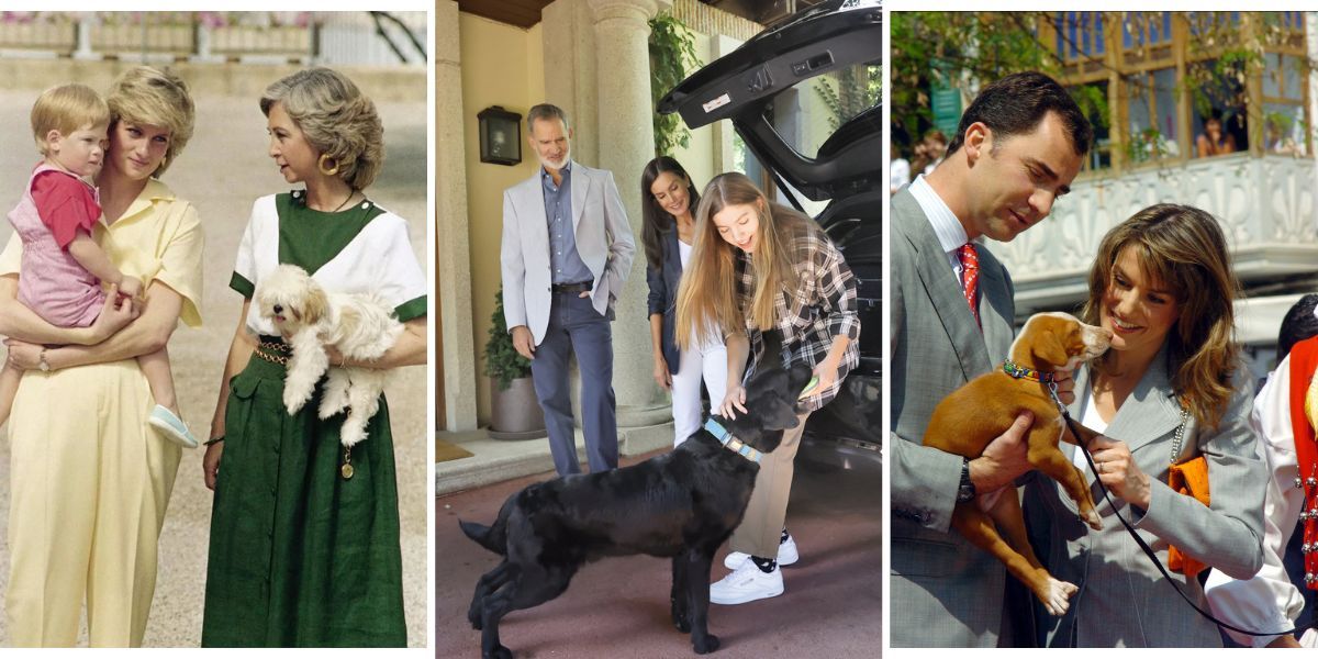La familia real española y los perros: estas son sus mascotas