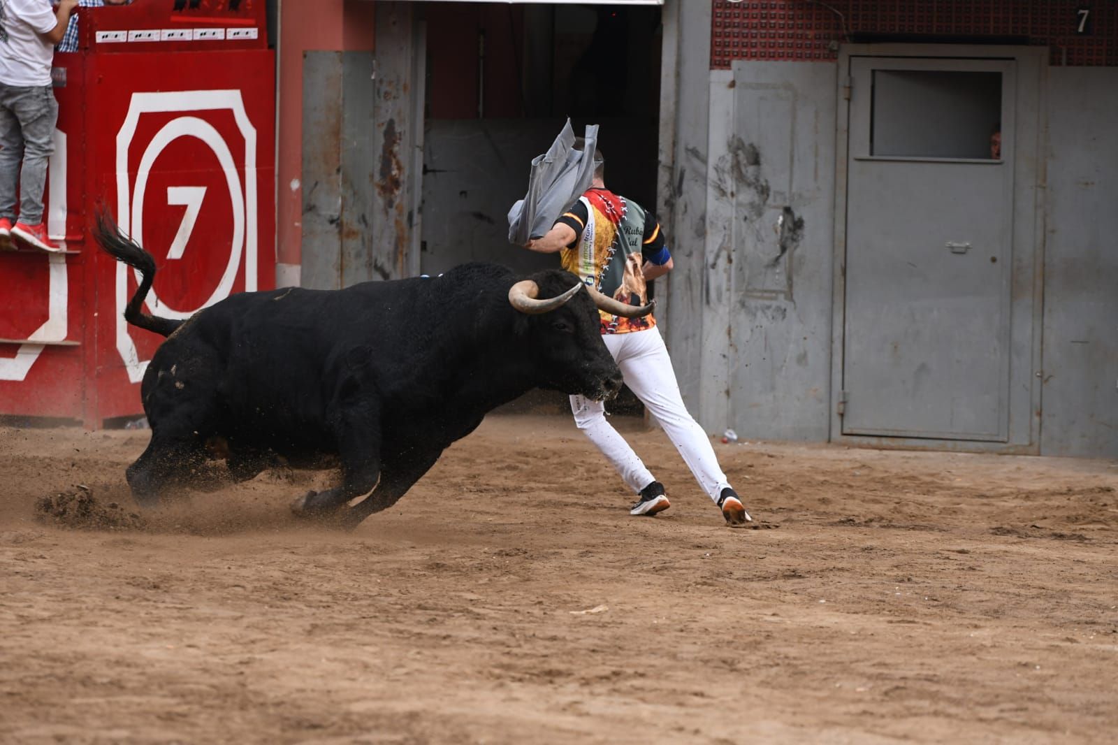 Exhibición de cuatro toros de Partida Resina en Onda