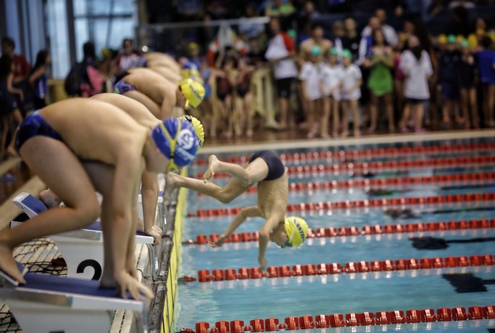 Trofeo Sant Sebastià de natación