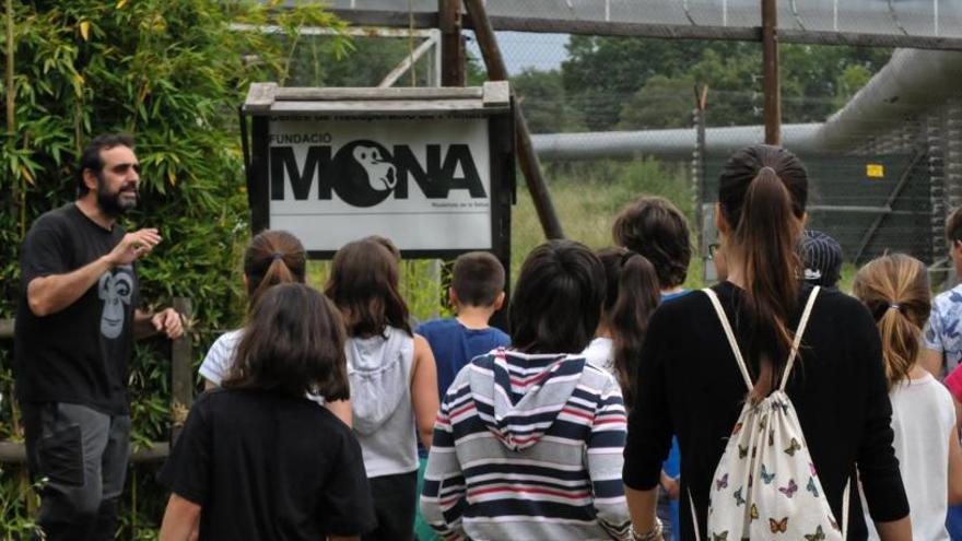 La fundació Mona es trasllada al Pla de l&#039;Estany