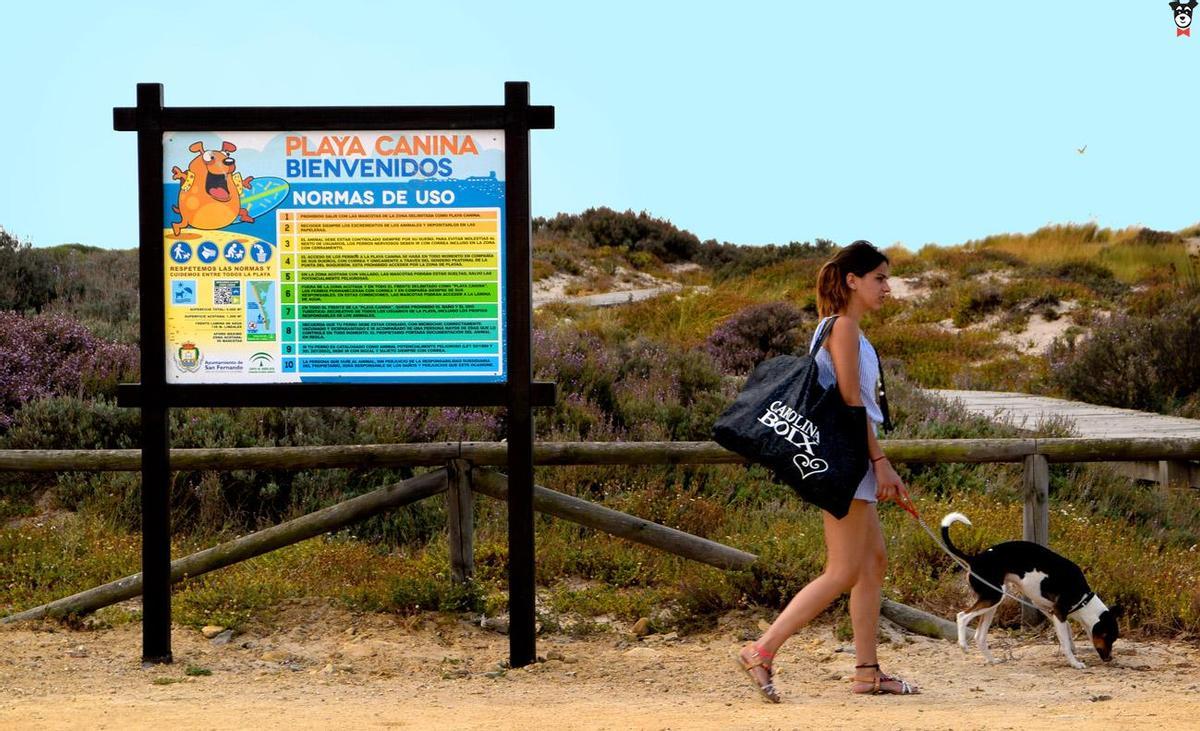 La playa canina de Camposoto, la primera para animales que se creó en la provincia de Cádiz