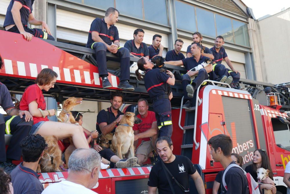 Los bomberos, en la campaña con las mascotas.