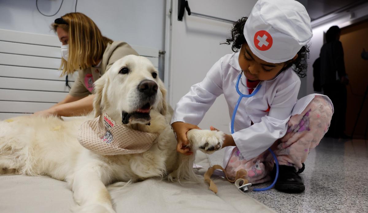 Acuden a la Clínica Universidad de Navarra en Madrid para ayudar a algunos pacientes a reducir el dolor y disminuir el estrés.