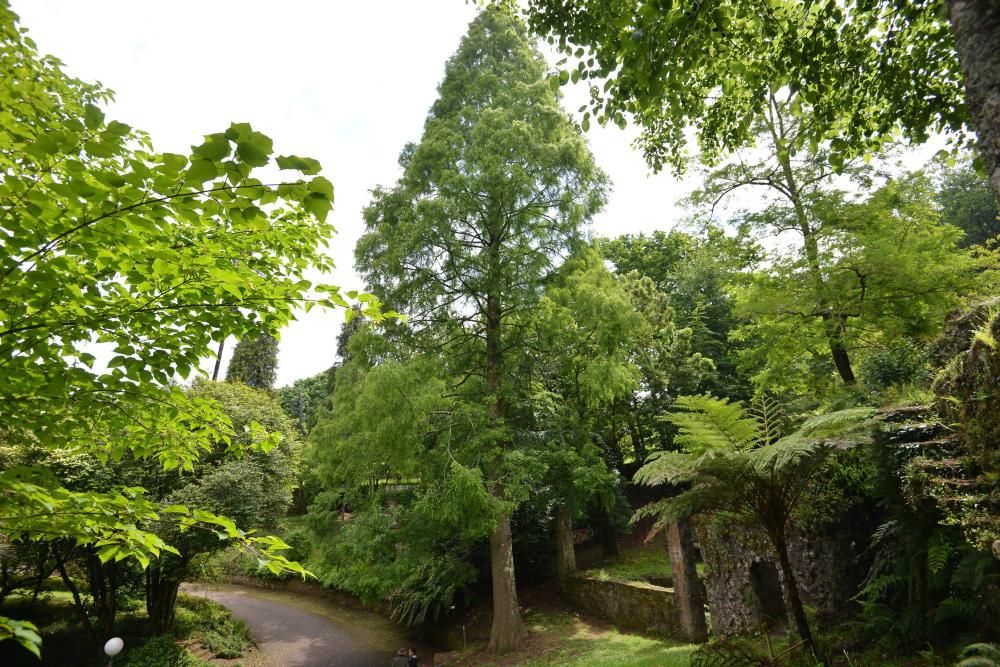 El Jardín Botánico de Lourizán, un pulmón verde