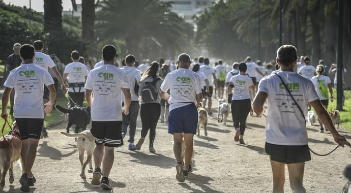 16/12/2018 LAS PALMAS DE GRAN CANARIA. Carrera ...