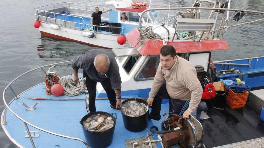 Dos marineros descargan pulpo en un puerto gallego.