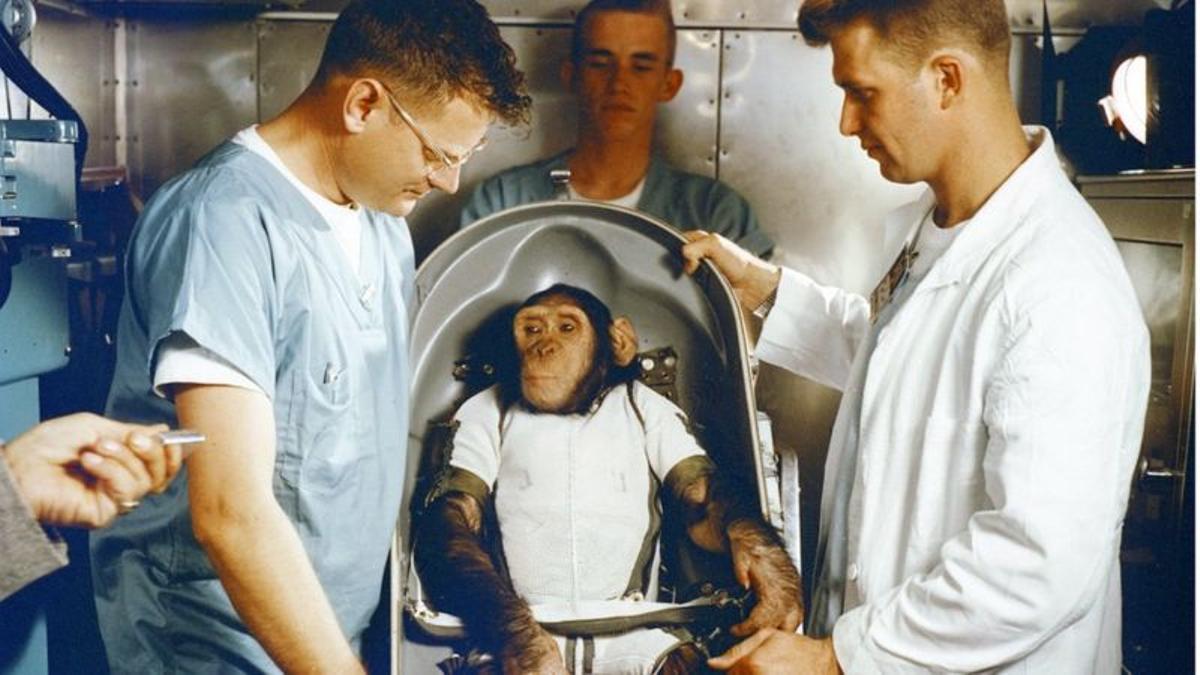 La utilización de monos en pruebas espaciales por parte de la NASA resultó en la muerte de ocho de ellos durante los viajes