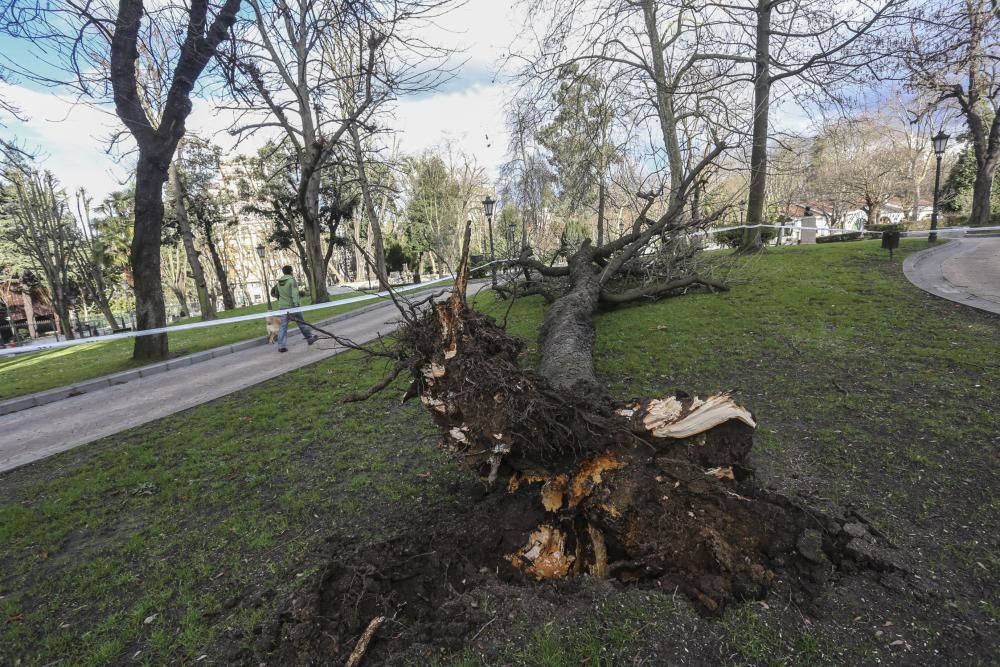 Temporal de viento y oleaje en Asturias