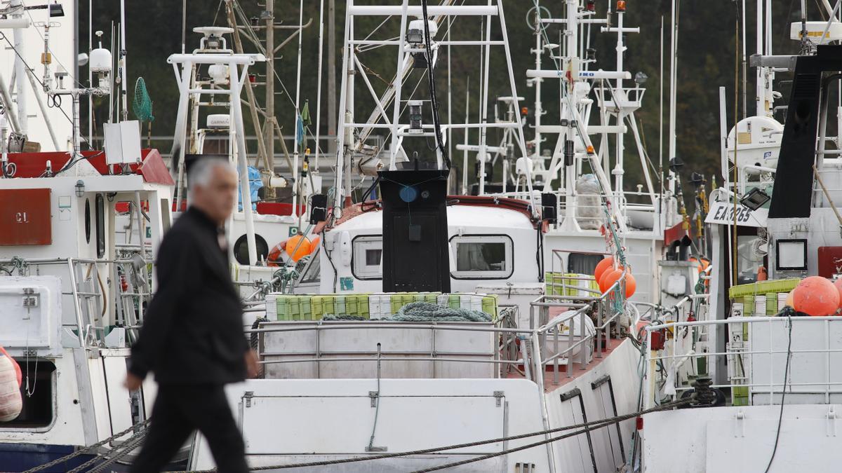 Flota de pesca de Cedeira en el puerto secundando el paro del sector.