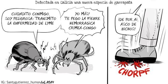 A Cosa Nostra por Santy