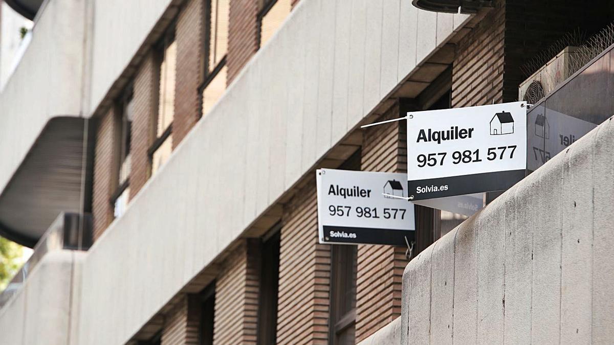 Carteles de pisos en alquiler en una calle de Córdoba, este verano.