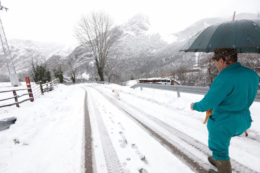 Temporal de nieve en Viego (Ponga)