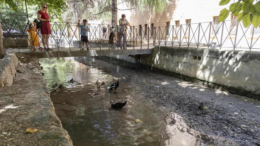 Así "sobreviven" los patos en el tramo seco del río Sants a su paso por Canals