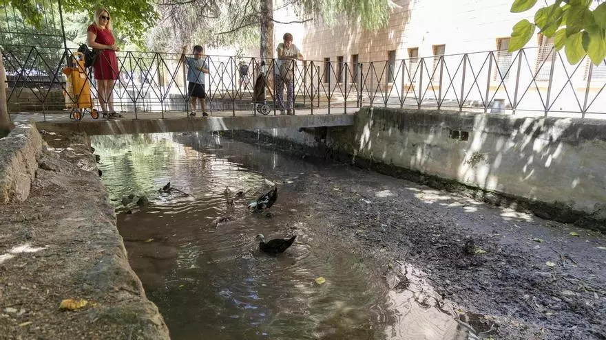 Así "sobreviven" los patos en el tramo seco del río Sants a su paso por Canals