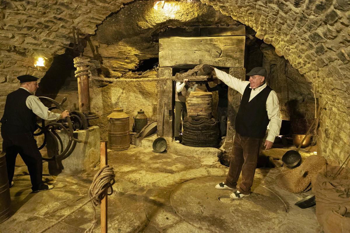 Nit Viva de Fonollosa