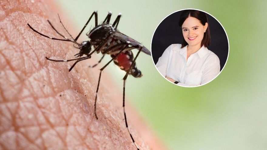 Ni cupido ni azar: así es cómo los mosquitos se enamoran de ti, según la farmacéutica Elena Hernández