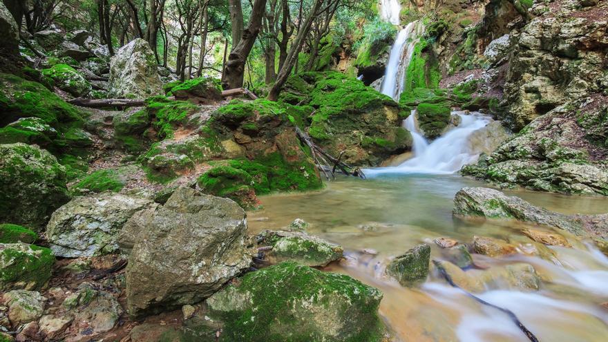 La vall de Coanegra