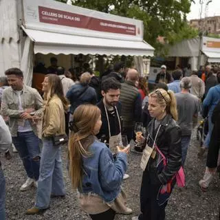 Només vermuts i algun licor se salven del descens