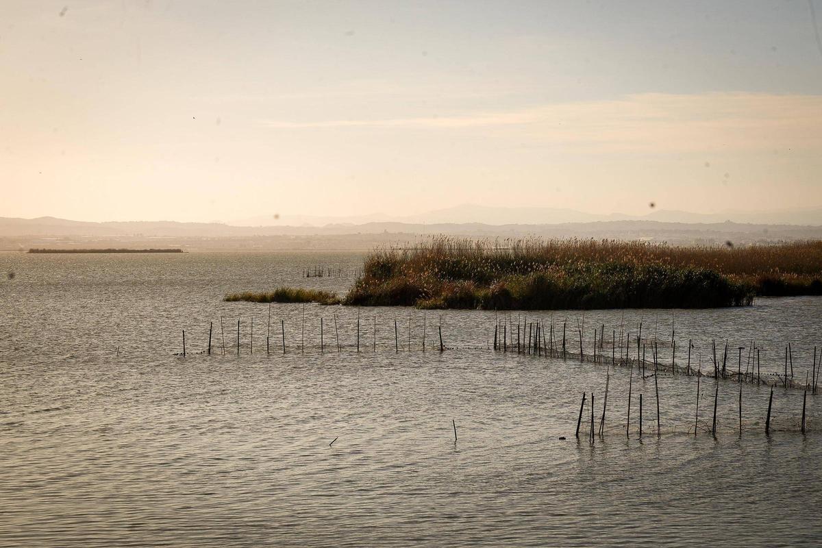 El lago de l'Albufera, estos días.