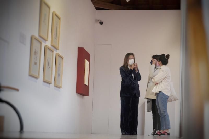 Exposición 'Alicia en el País de las Maravillas' en el Espacio CajaCanarias de La Laguna