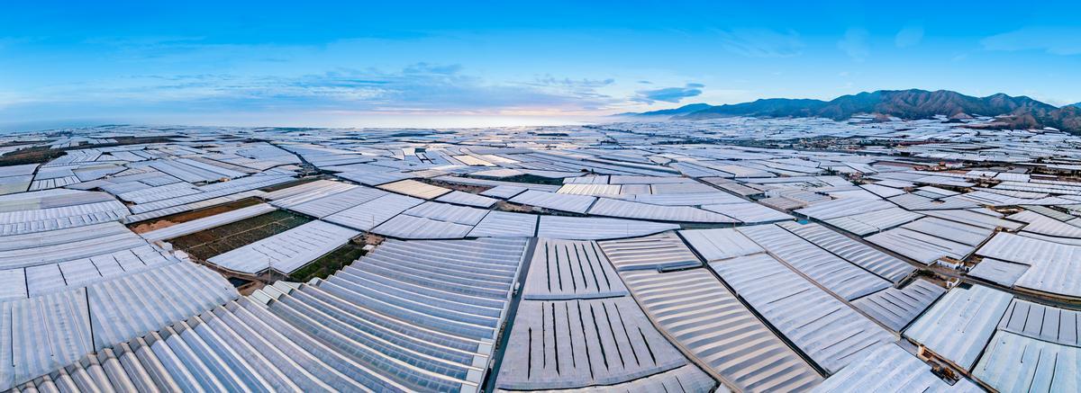 Mar de invernaderos de plástico para cultivos agrícolas en Andalucía