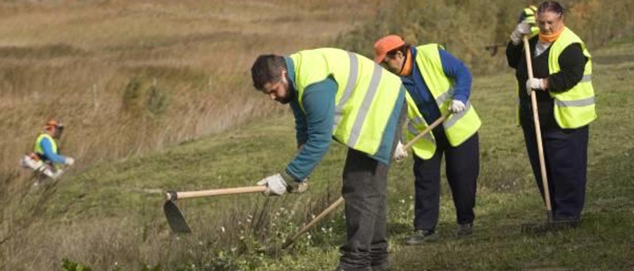 El plan de empleo de Sagunt planea exigir la inscripción en el Servef