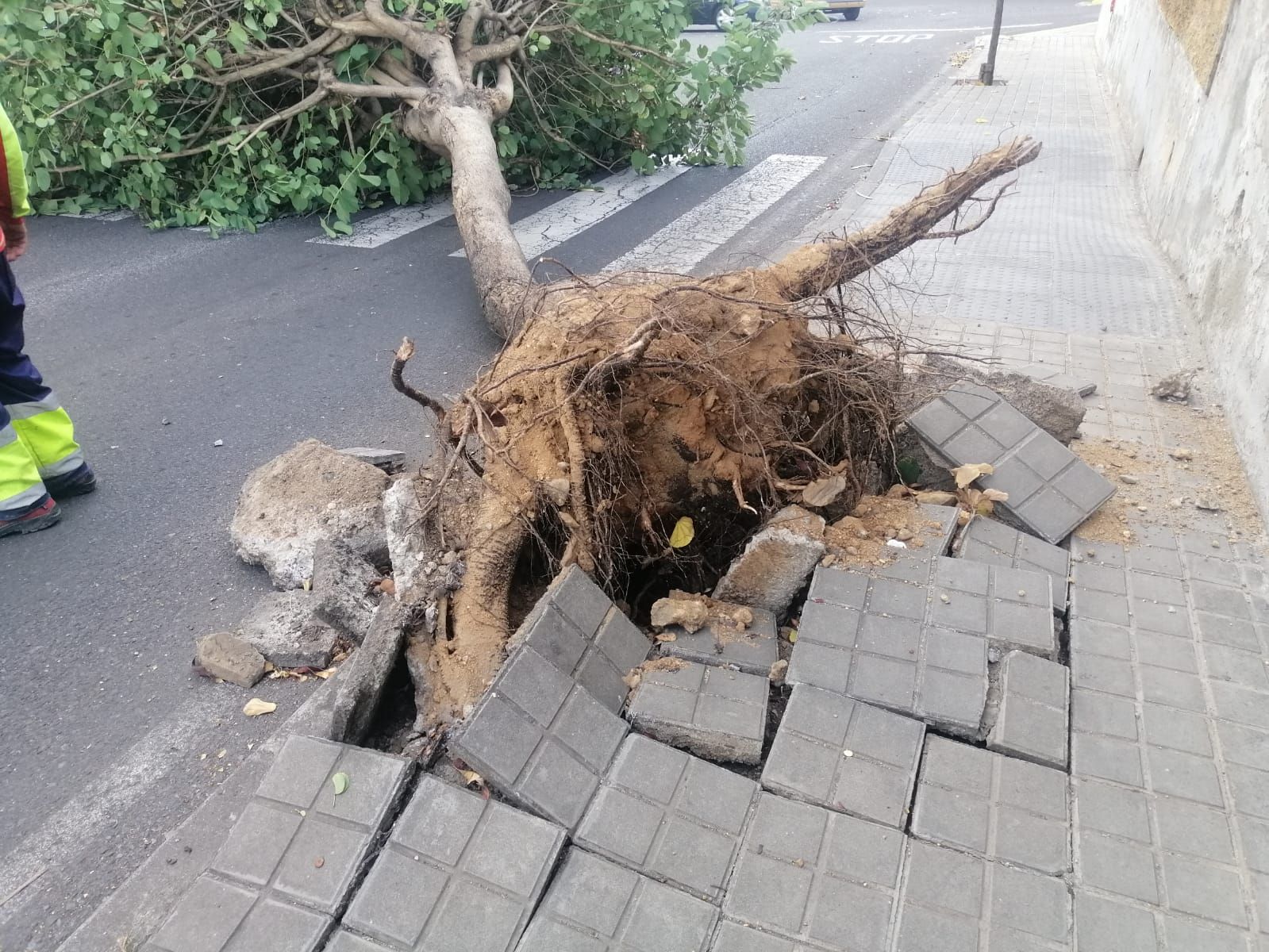 Efectos del viento en Telde