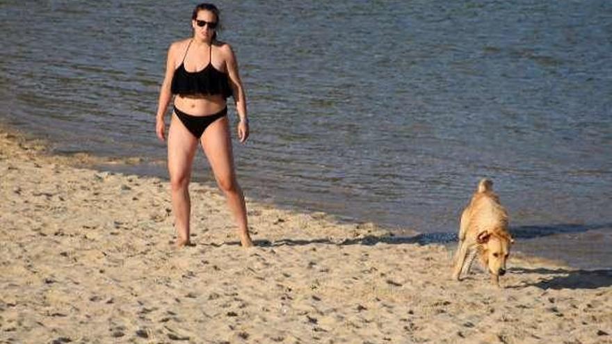 La playa canina de O Espiño. // Muñiz