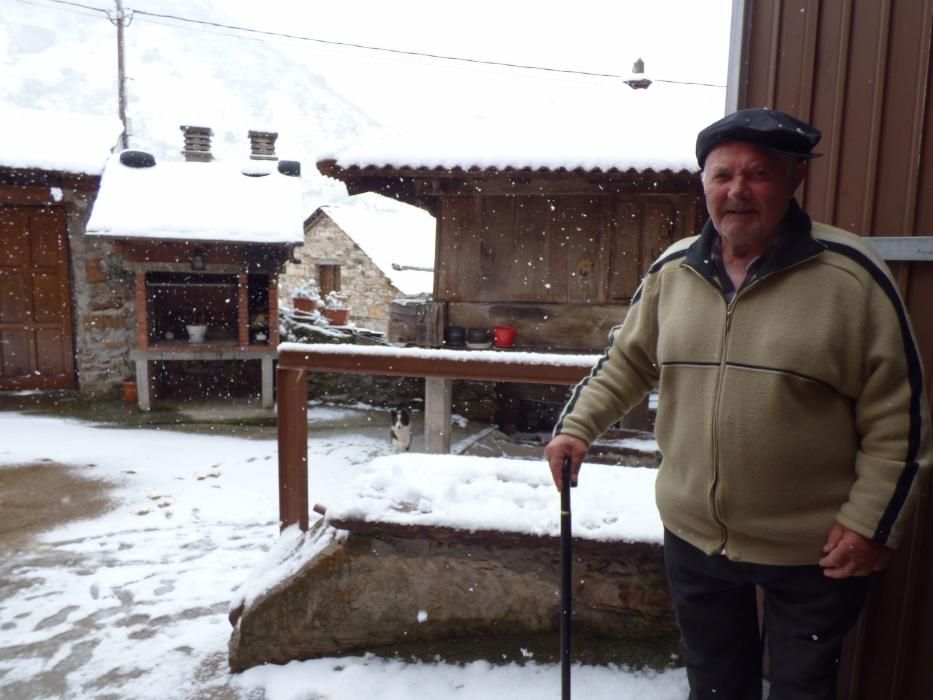 Primera nevada de la primavera o última del invierno en Genestoso, Cangas del Narcea