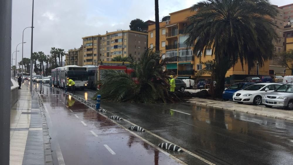 La capital de la Costa del Sol amanece bajo las nubes y con una previsión de lluvias intensas que se quedarán hasta la próxima semana