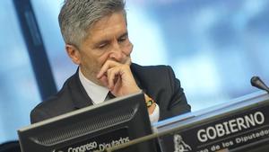 Fernando Grande-Marlaska, ministro del Interior, en una comparecencia en el Congreso.