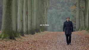 L’últim vídeo de campanya de Junts per Catalunya, amb Carles Puigdemont passejant per un bosc.