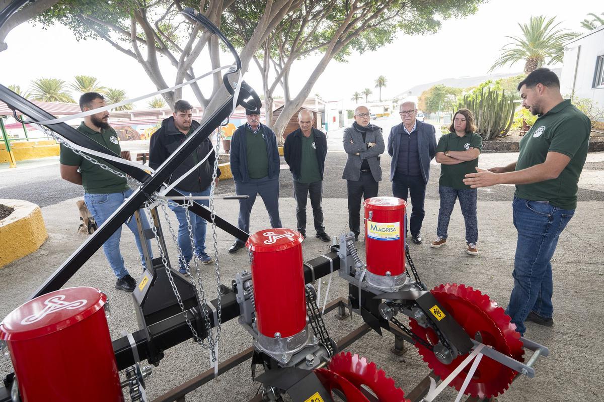 El apoyo del Cabildo al forraje multiplica la superficie cultivada en Gran Canaria y refuerza el binomio local entre agricultura y ganadería