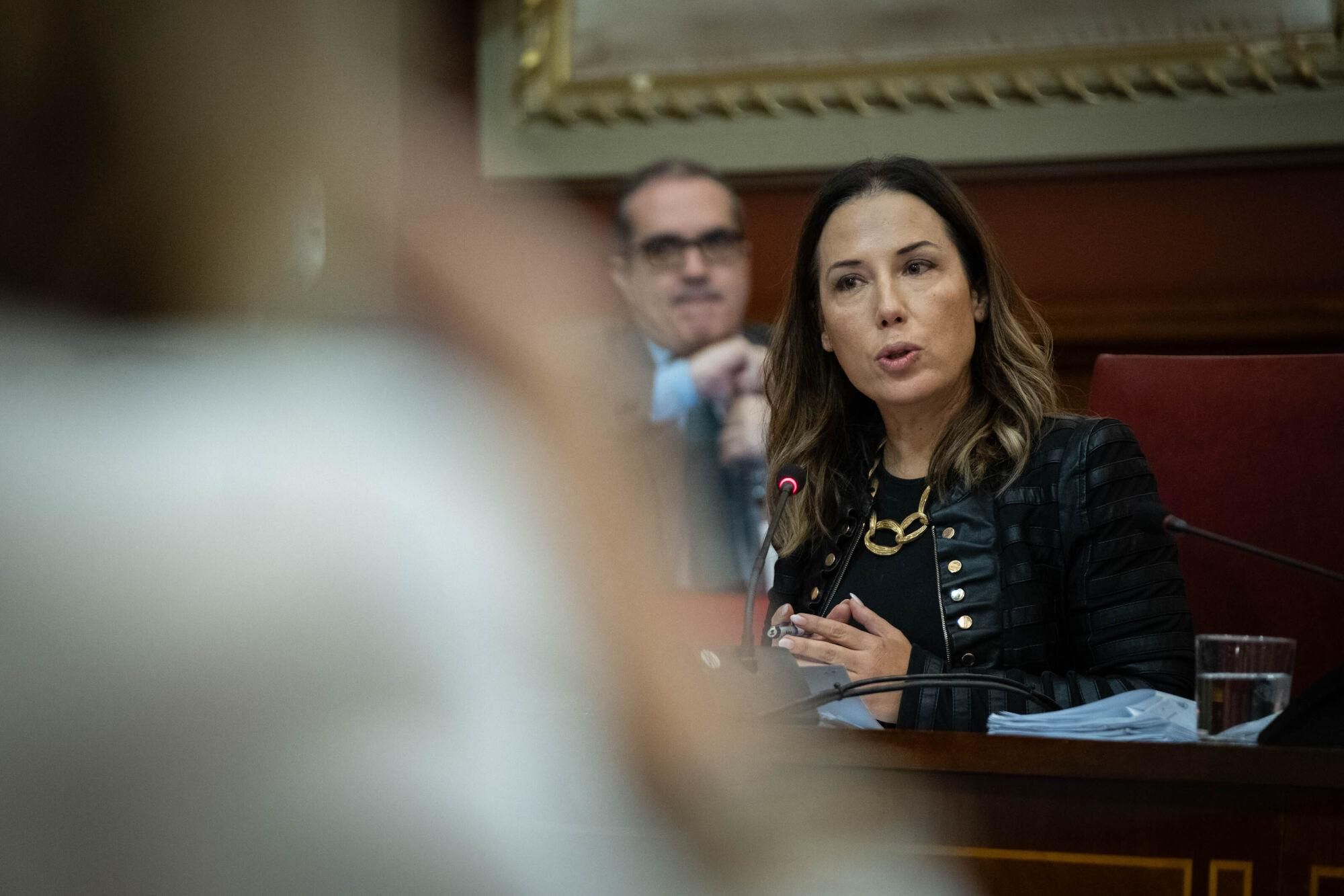 Pleno del Ayuntamiento de Santa Cruz 