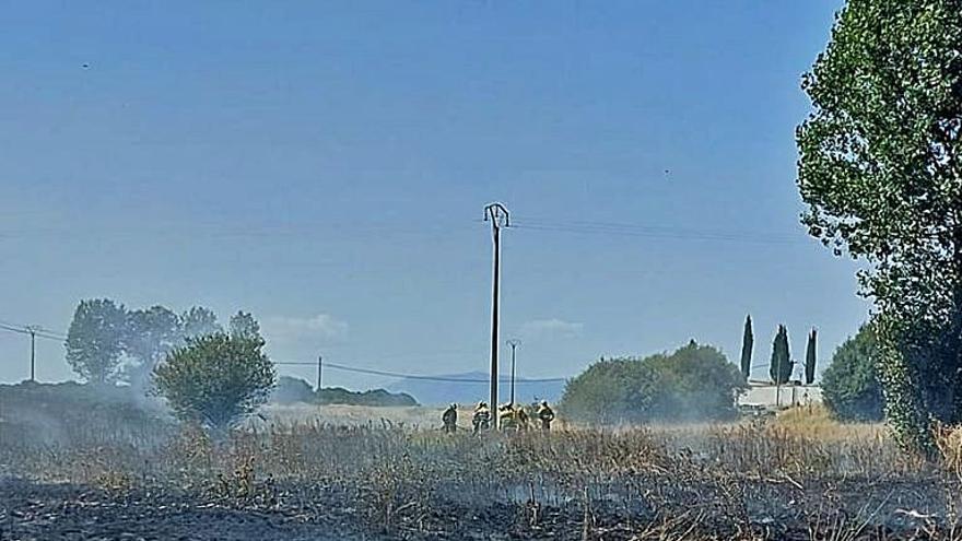 Terreno calcinado en San Juanico el Nuevo. | C. G. R.