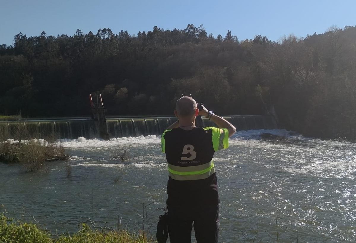 Bomberos de Proaza en la zona de Vega de Anzo durante la búsqueda de la mujer que cayó al río en San Martín