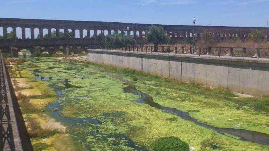 Los vecinos de Mérida exigen una limpieza definitiva para el río Albarregas