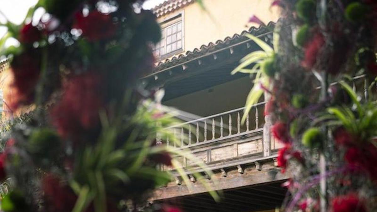 Arte floral en La Laguna
