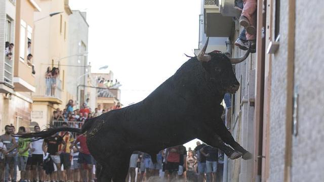 Las asociaciones taurinas piden retomar la temporada de "bous al carrer" en julio