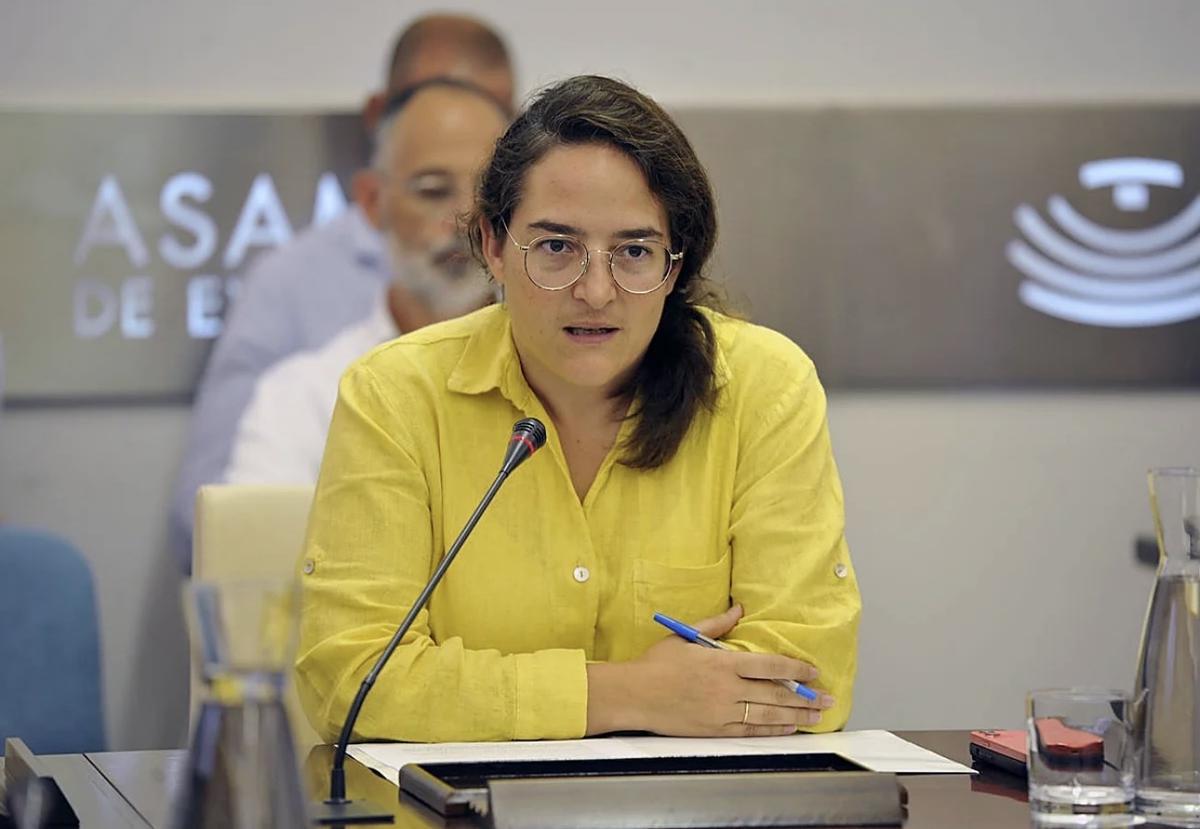 La directora general de Patrimonio Cultural y Documental de la Junta de Extremadura, Adela Rueda.