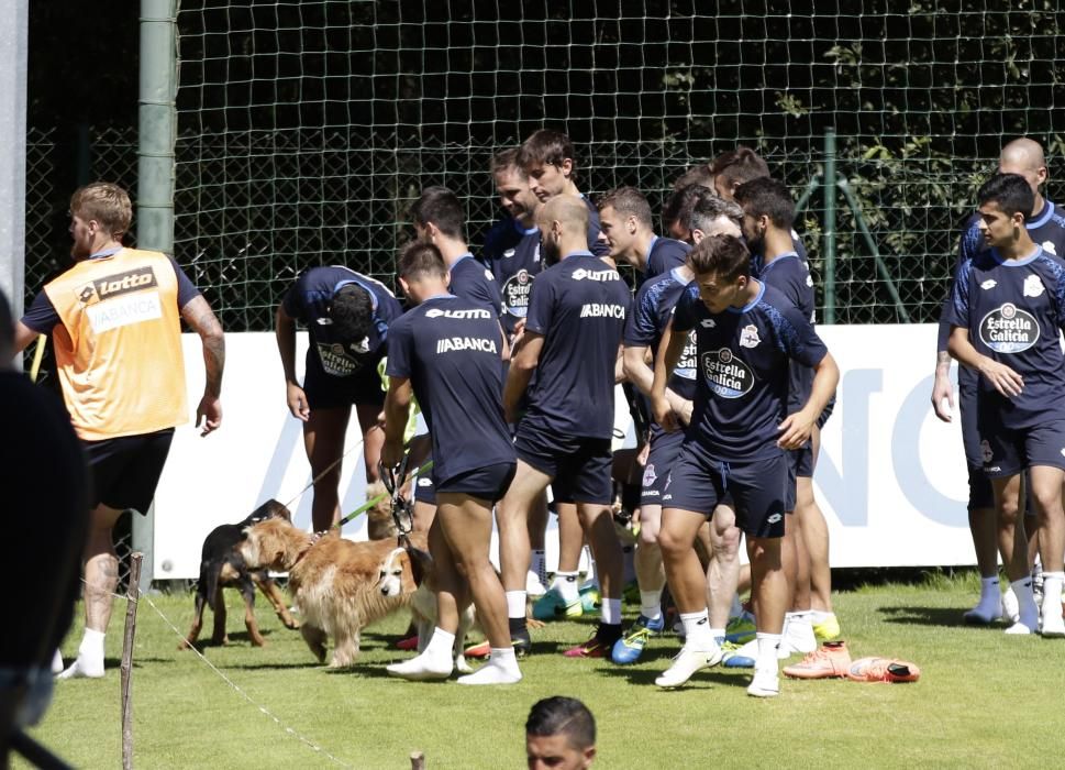 Los futbolistas del Deportivo completan una exigente sesión de más de hora y media de duración, con una parte física muy dura y un tramo de entrenamiento de partidillos con balón en espacios reducidos