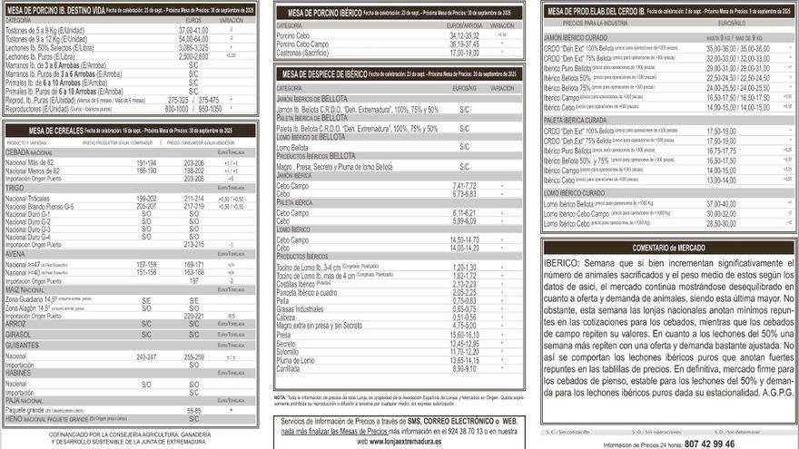 Lonja de Extremadura: estos son los precios actualizados a día 25 de septiembre de 2025